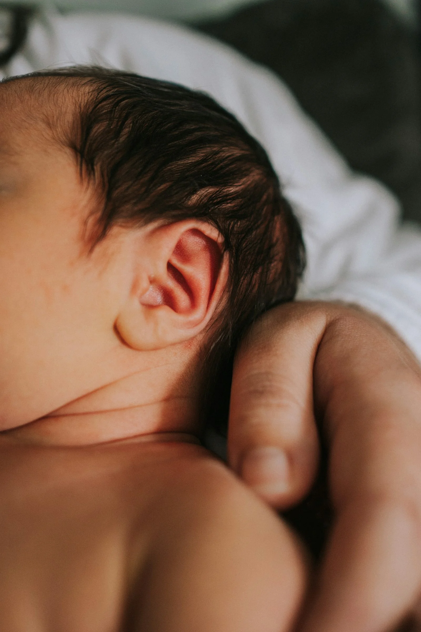 Close-up of a person holding a baby