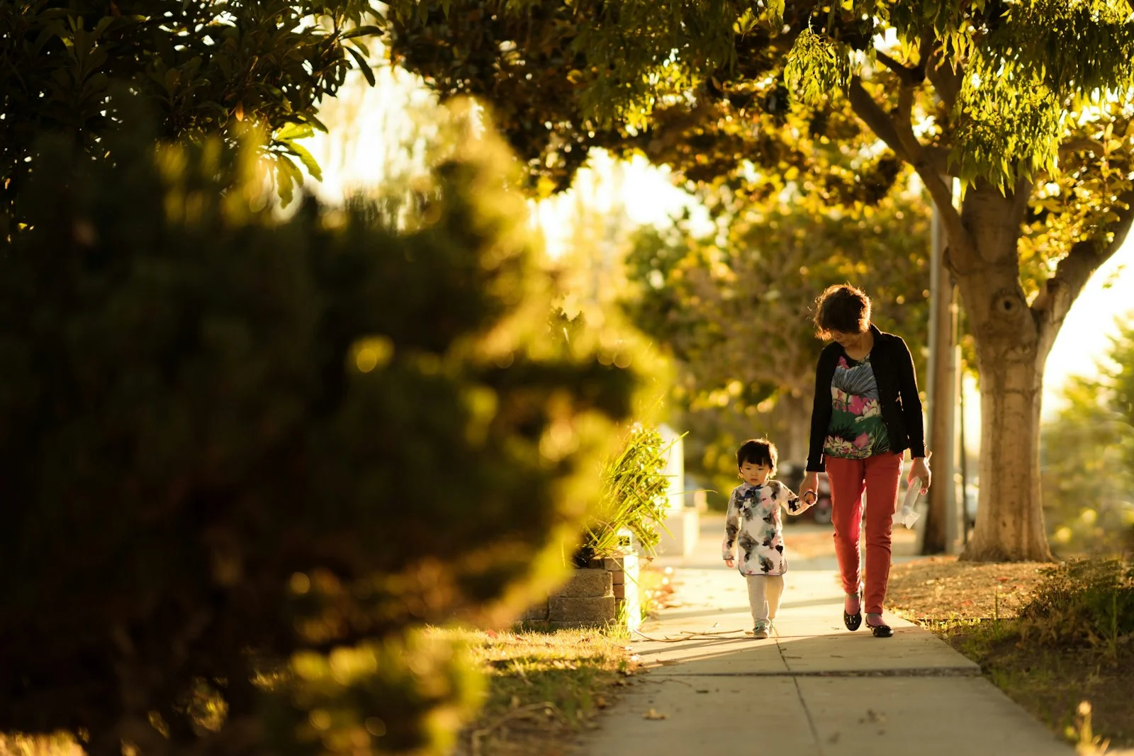 Woman holding a young child while walking along a sunlit path