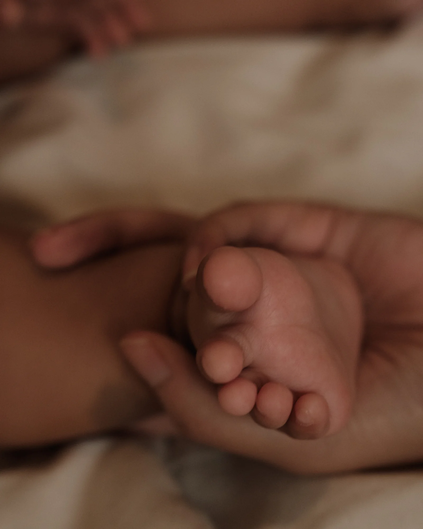 Close-up of a baby's foot resting in an adult's hand